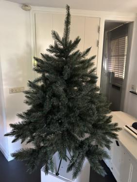 Kerstboom , 1 keer opgezet. Intratuin , Romagne