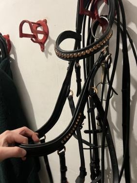 Anatomisch hoofstel COB