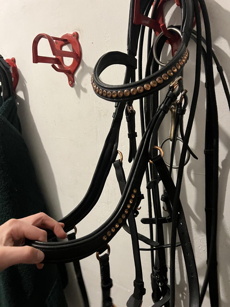 Anatomisch hoofstel COB