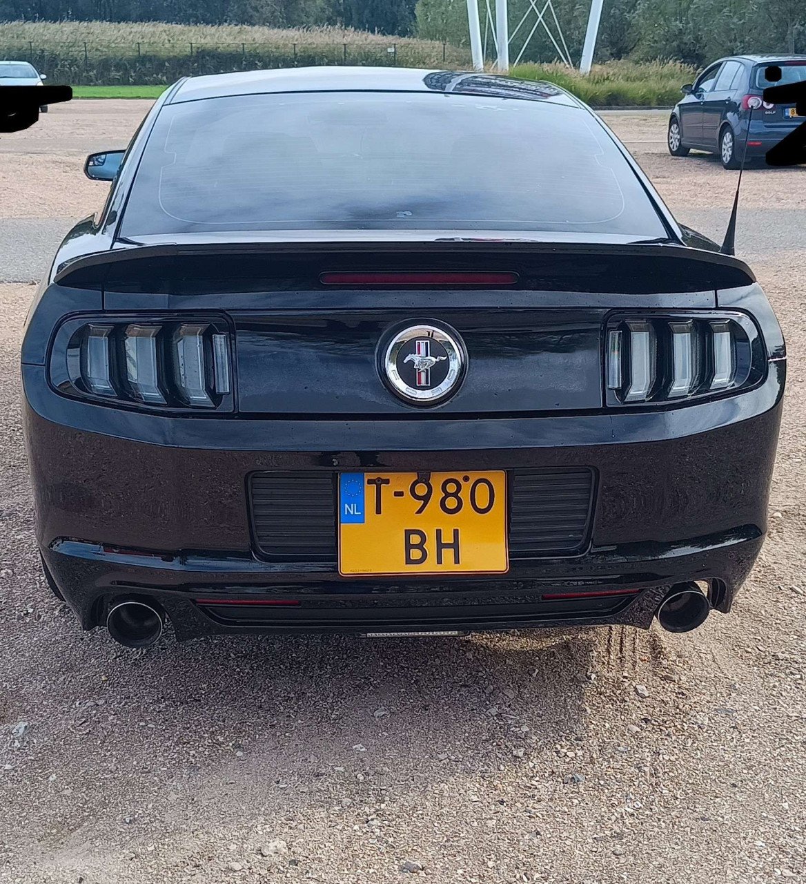 Ford mustang 2013 v6