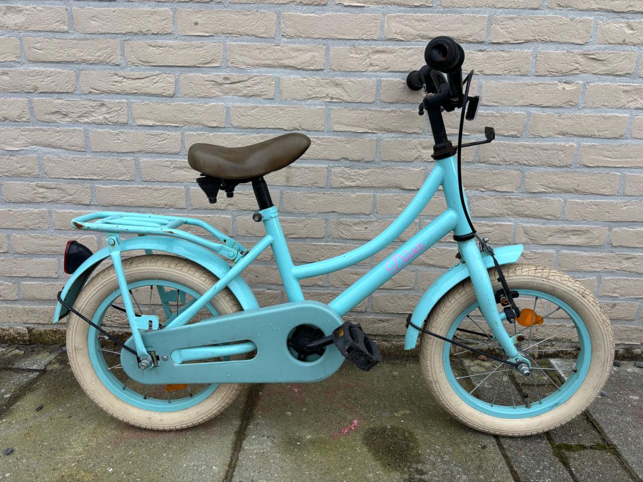 Meisjes fiets
