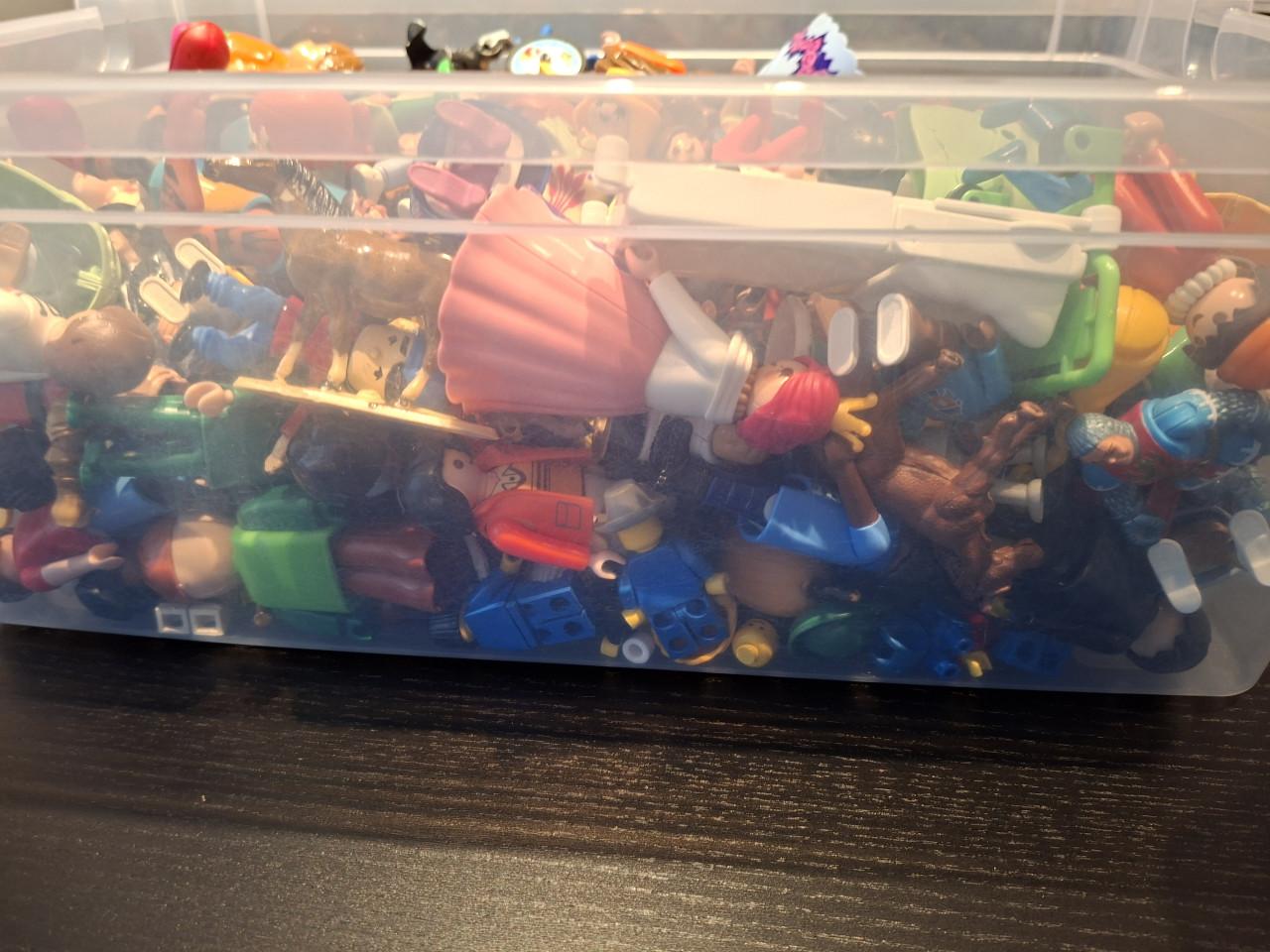 Playmobile grote partij