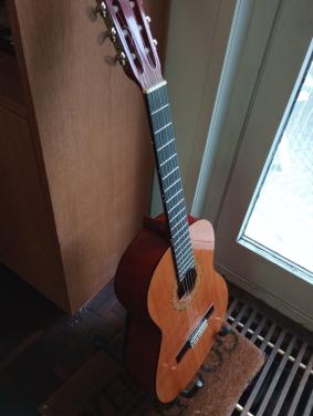 Klassieke/Spaanse gitaar