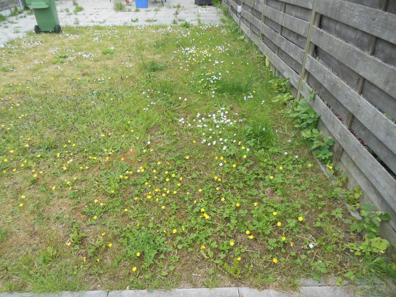 Tuinonderhoud Zeeland