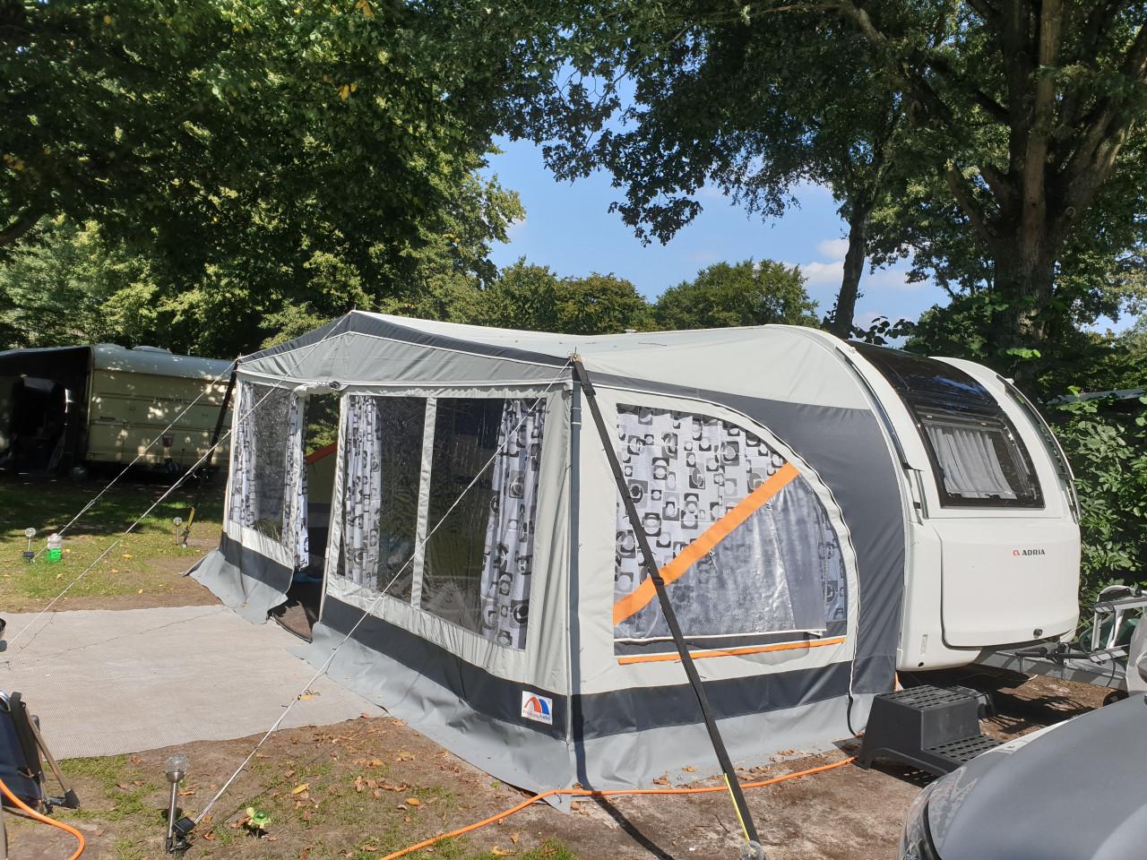 Grote Franka (Dorema) voortent (G18)