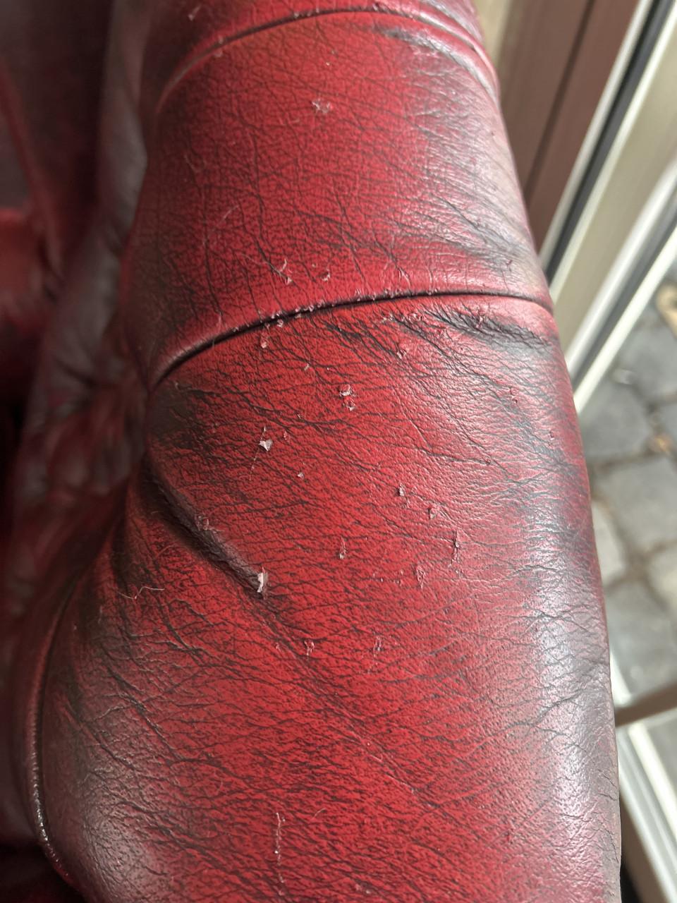 Prachtige Chesterfield Oor Fauteuils