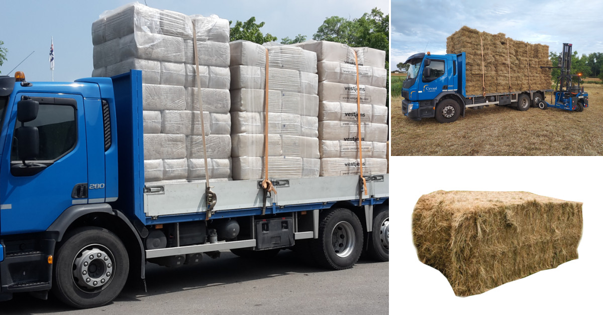 Weidehooi duits, frans, zeeuws GRATIS THUIS BEZORGD!