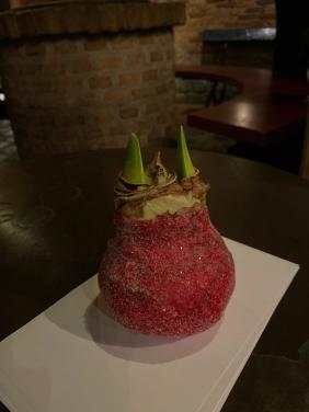 Amaryllis bol met wax rood en sneeuw/glitter