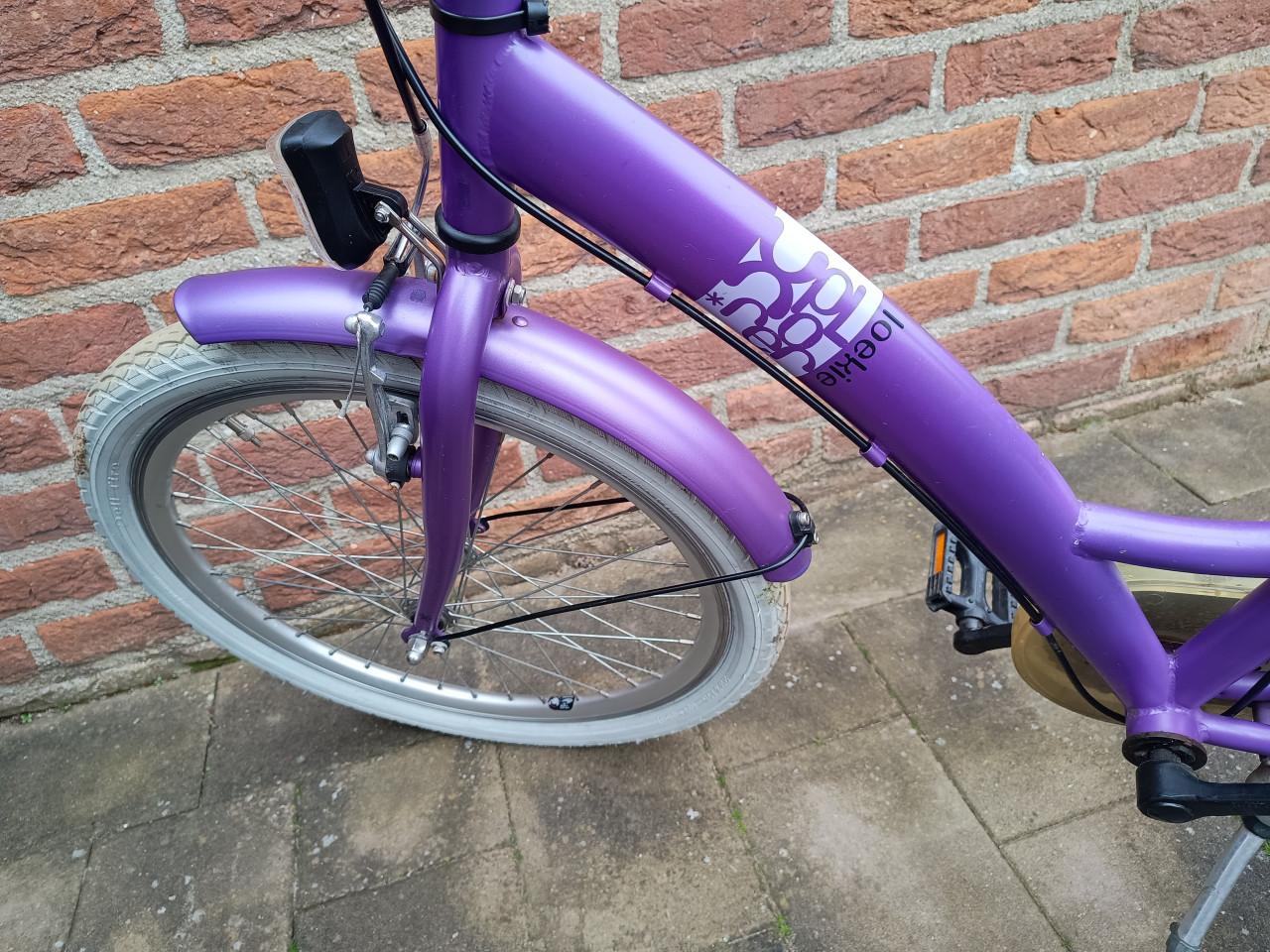 22 inch Loekie meisjes kinder fiets