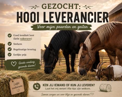 Gezocht: hooileverancier of chauffeur met eigen kar