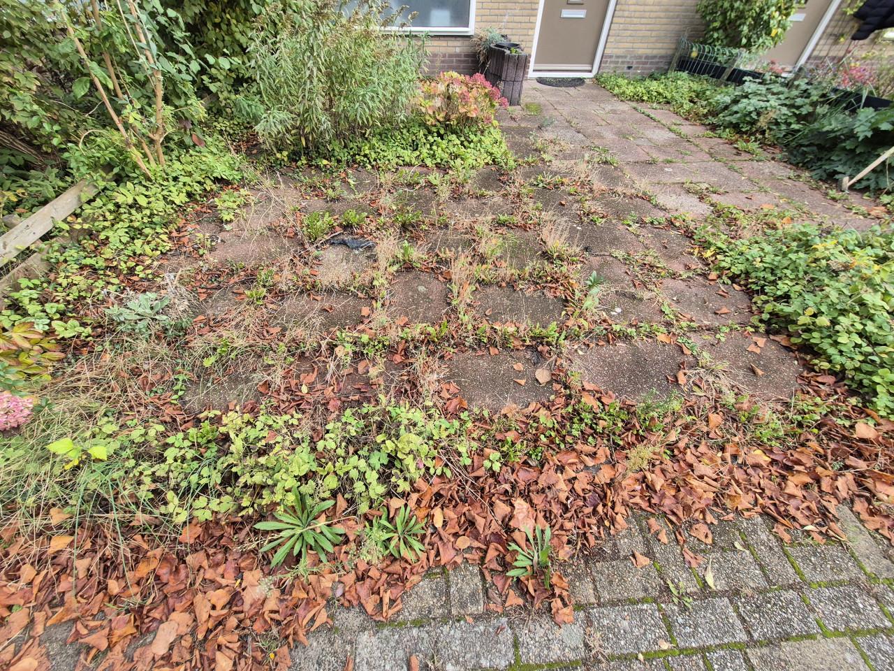 Betaalbare en Betrouwbare tuinman nodig? Beschikbaar!!