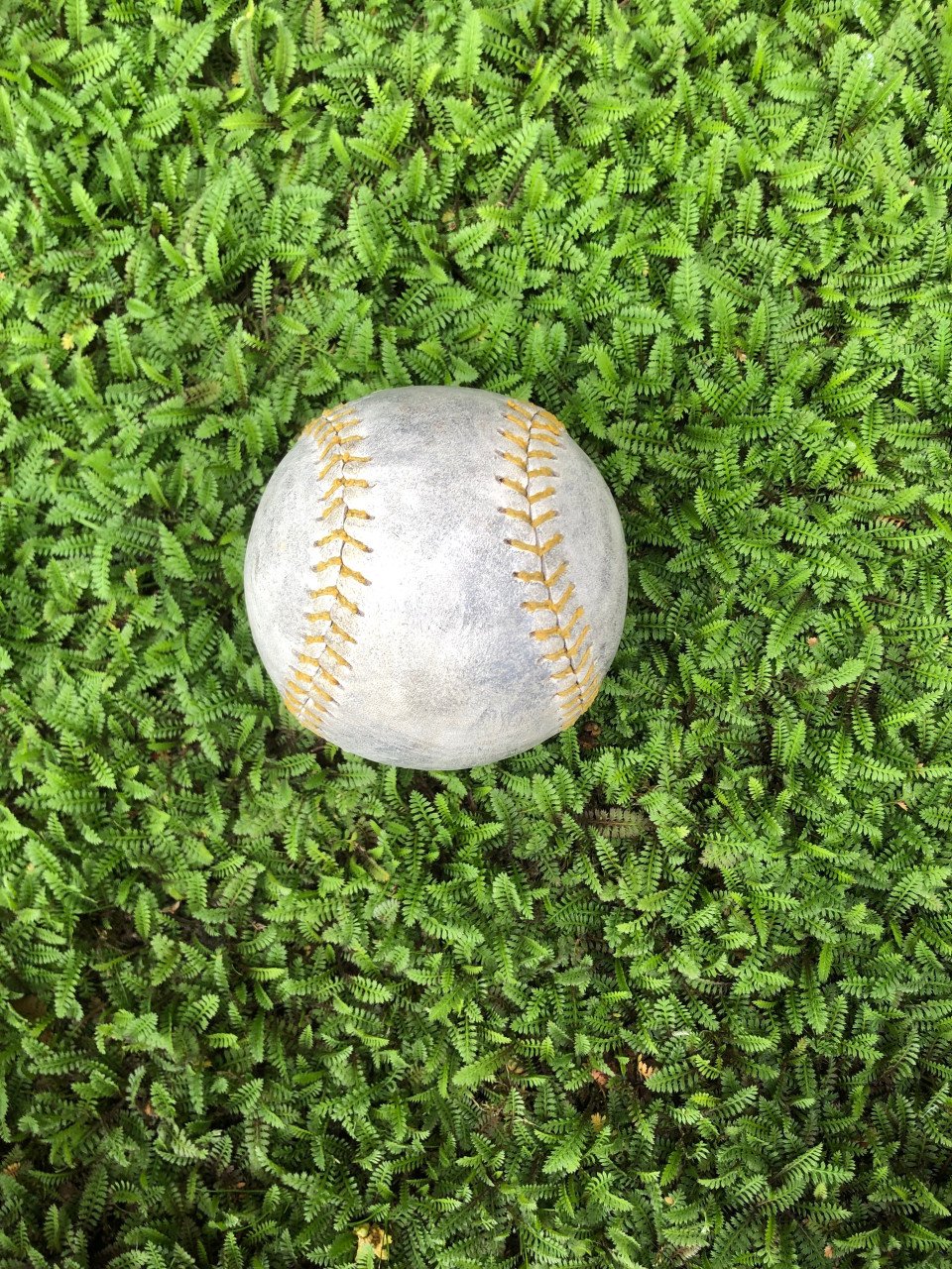Vintage bal.