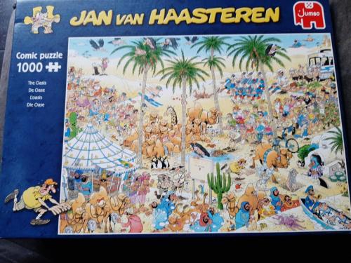 JAN VAN HAASTEREN - DE OASE 1000 stukjes