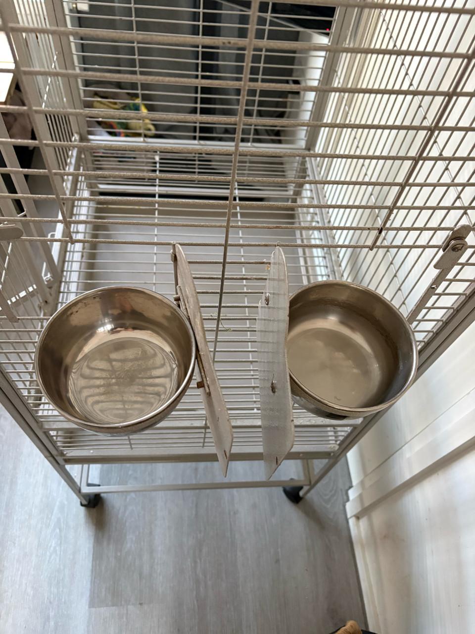 Vogelkooi