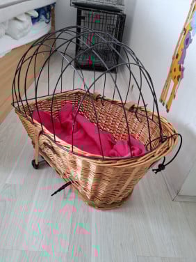 Fietsmand hond
