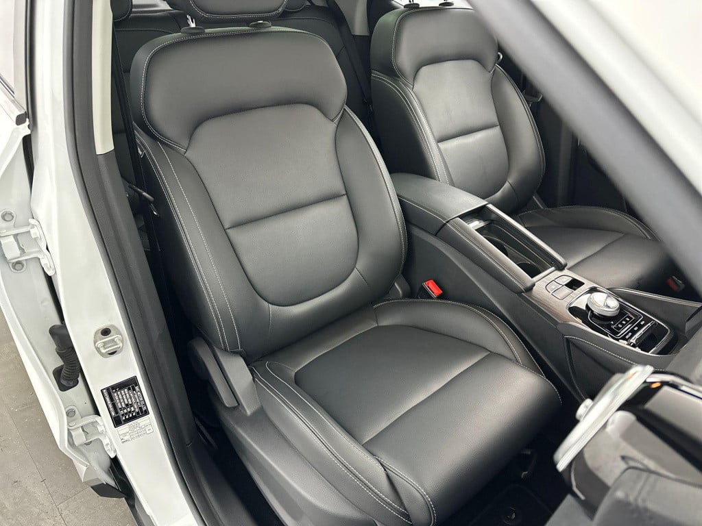 MG Zs-ev luxury 45 kwh | panoramadak | dealer onderhouden | leder | all sea