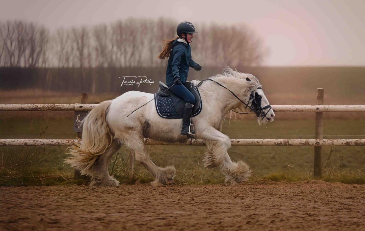 Lieve sprookjespony