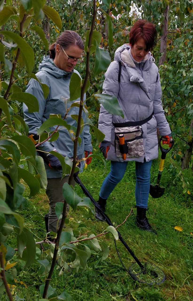 Metaaldetectie workshops op weilanden, akkers en boomgaarden