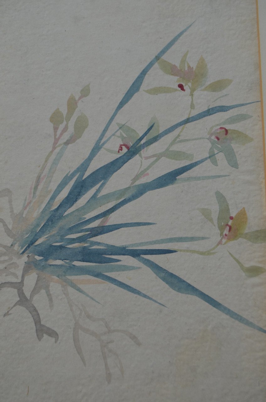 Schitterende oude Japanse (Chinese?) aquarellen in passe-partout (4)
