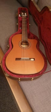 TE KOOP: NIEUWE SEMI-AKOUSTISCHE GITAAR 275 euro