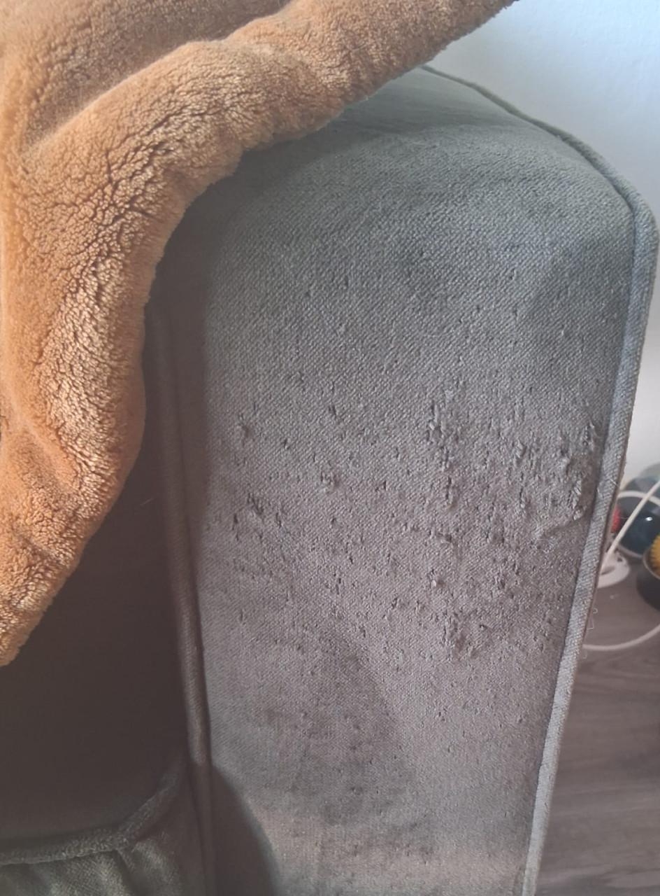 *Gratis* Fluweel Groene Bank