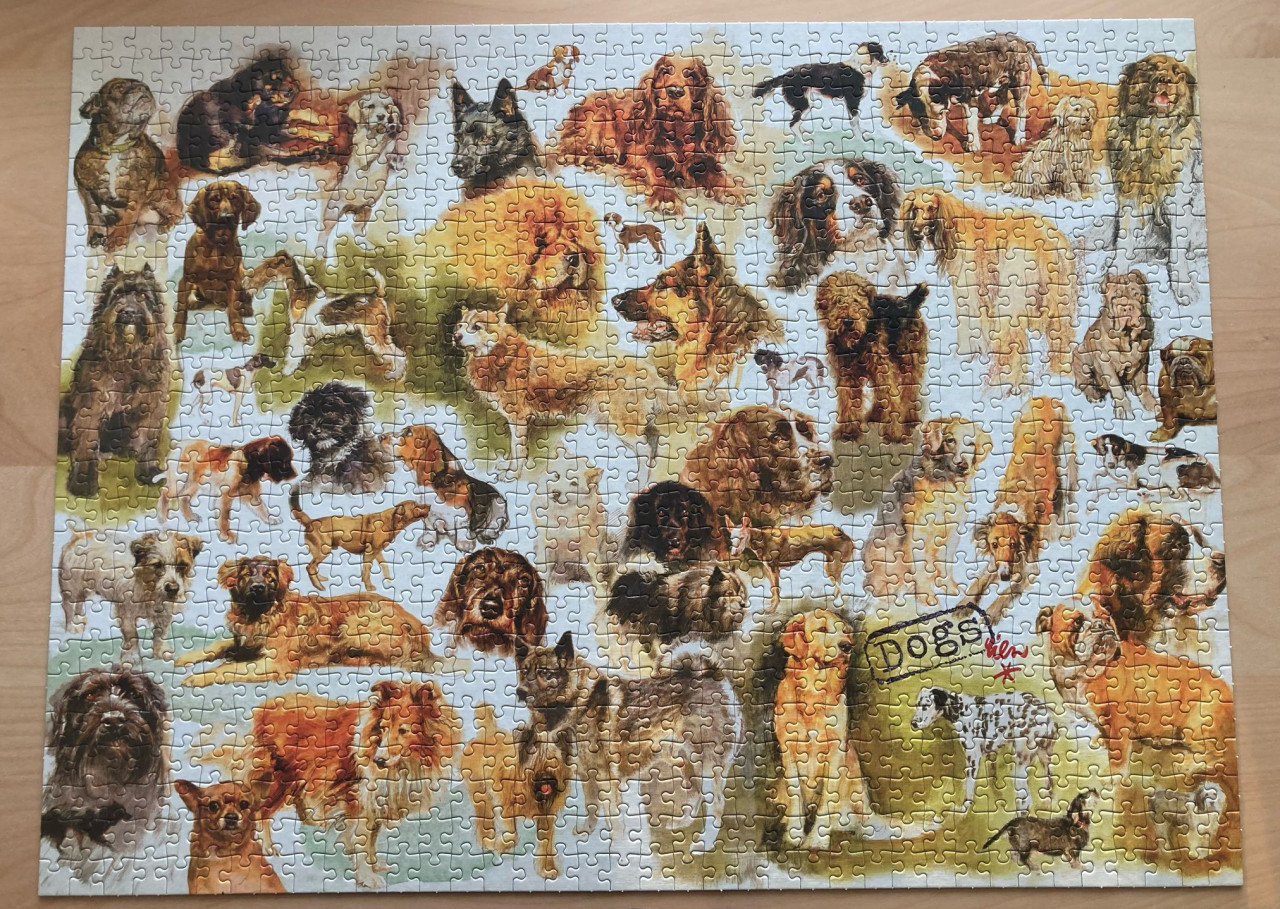 Puzzel van Rien Poortvliet