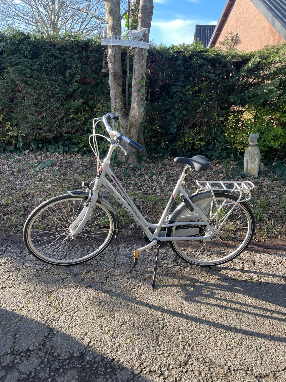 Tekoop batavus fuego