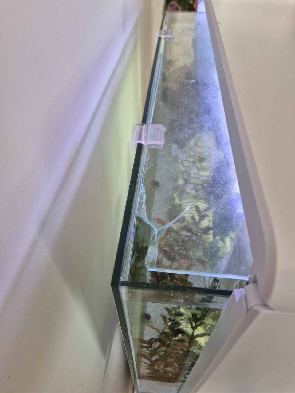 Aquarium Home 85 (inclusief meubel)