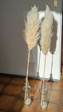2x Pampas pluim in mooie fles. Per fles € 3,-, beide voor € 5,-