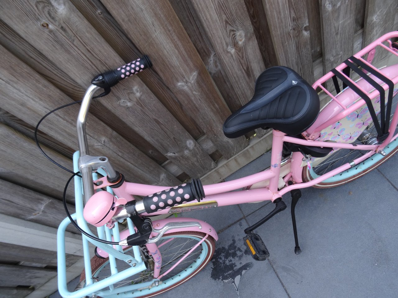 Popal Daily Dutch 22 inch meisjesfiets 3 versnellingen