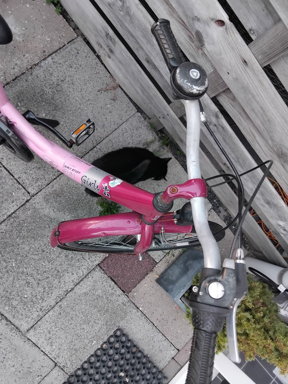 Meisjesfiets 24 inch 3 versnellingen