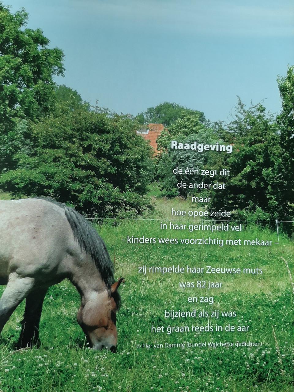 Kwiek & Wies, 80plus in Zeeland, door Ellen De Vriend-de Jong