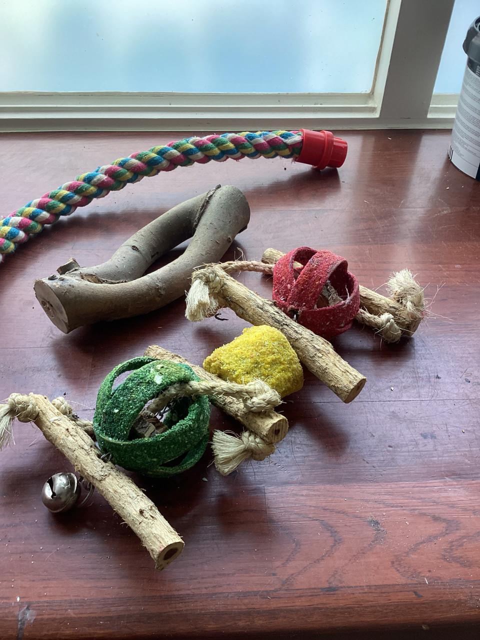 Papegaai standaard speelgoed e.d