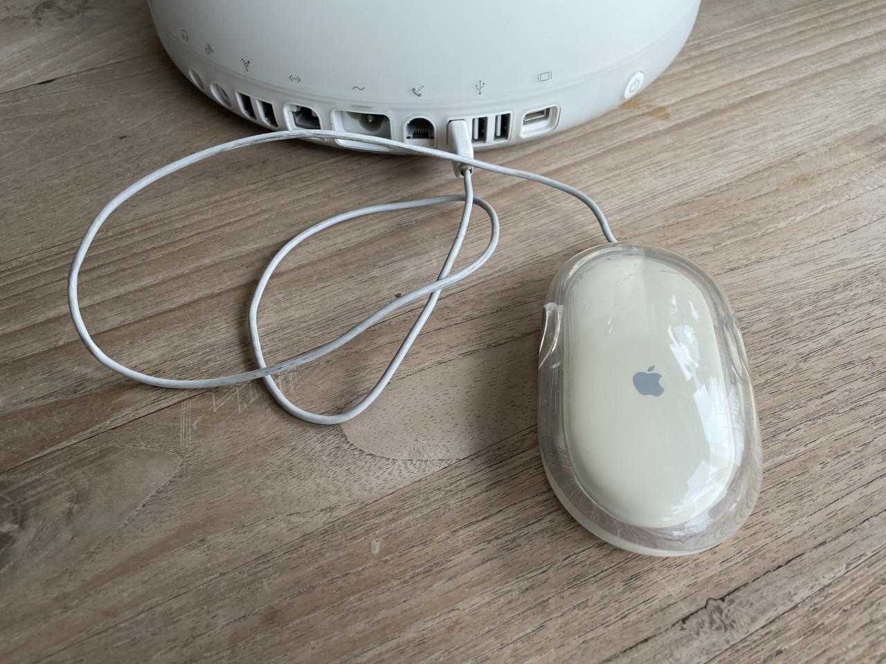 Te Koop: Vintage Apple iMac G4.