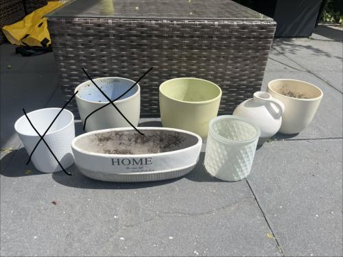 Gratis op te halen: binnenpotten planten
