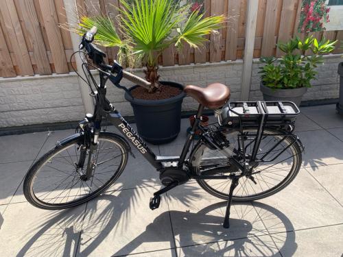 Electrische dames fiets