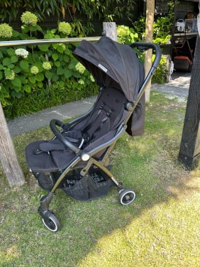 Buggy hamilton