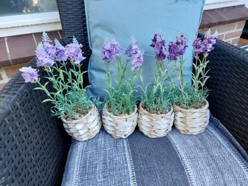 Set van 4 lavendel kunstplantjes goede staat