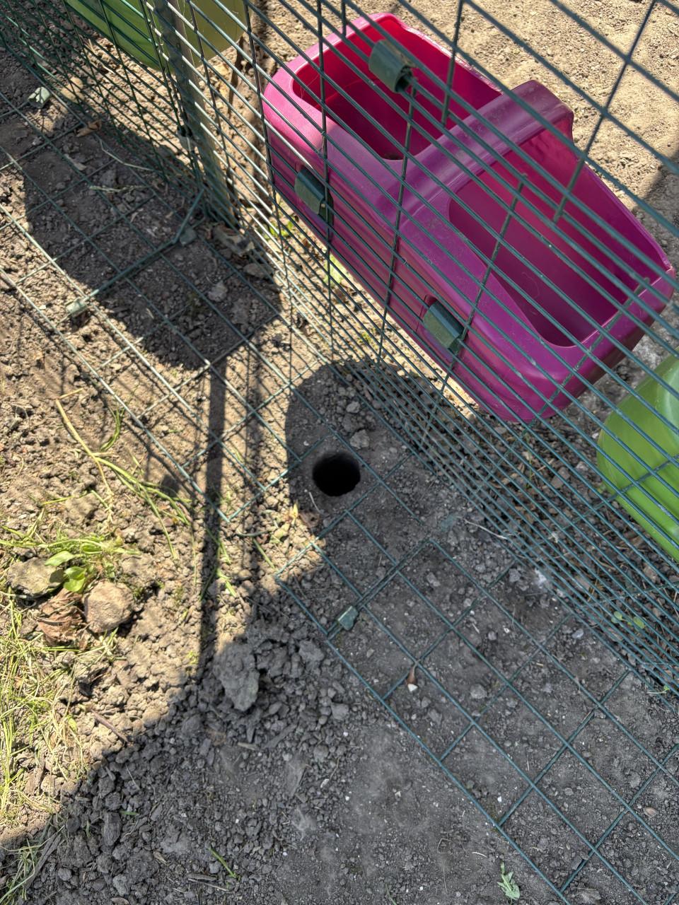 Omlet inloopren 3x2x2 m , zelf demonteren