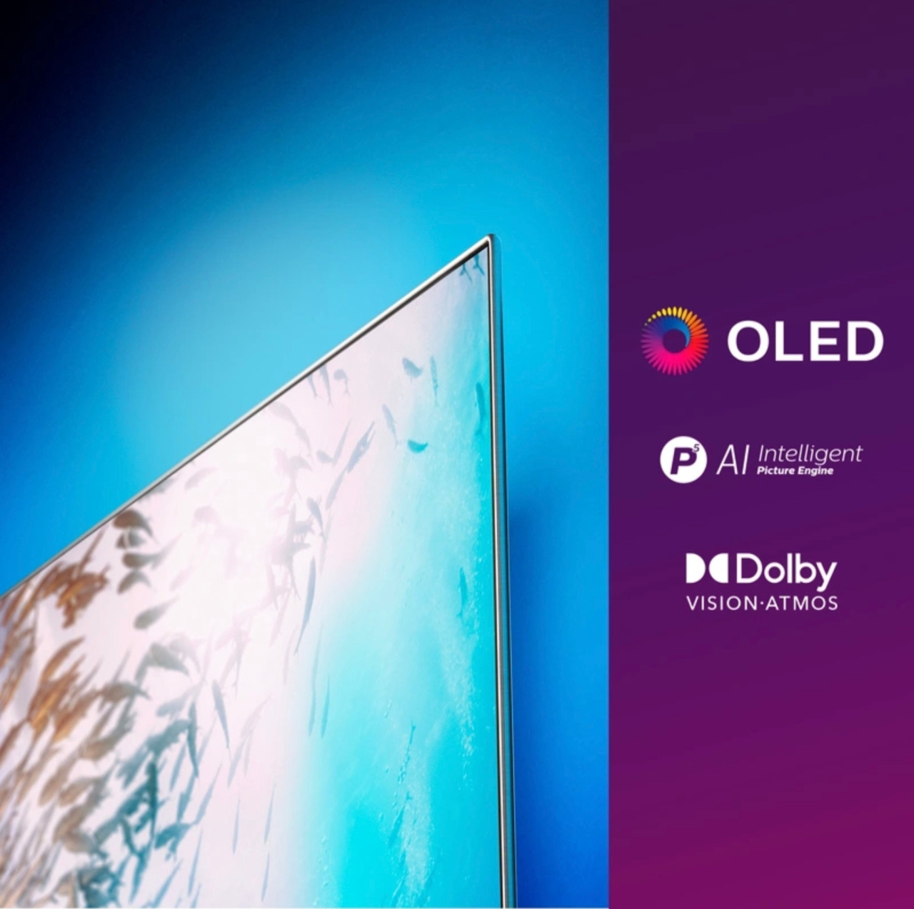 Oled 55inch  van Philips