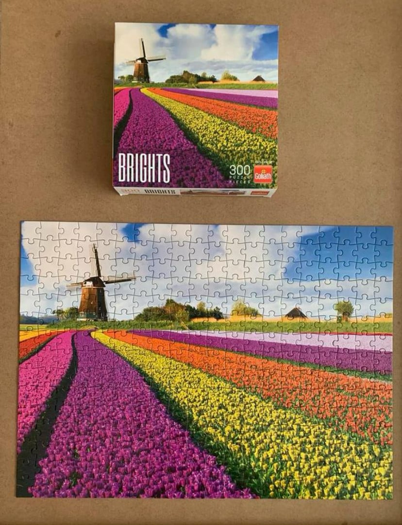 Puzzel 300 stukjes