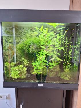 GERESERVEERD Aquarium Juwel Lido 120