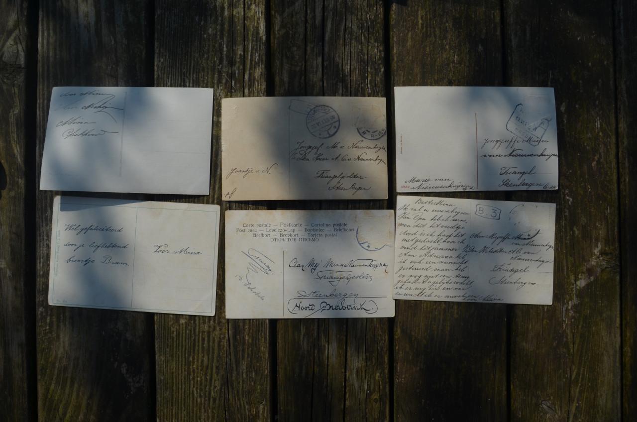 11 Ansichten Dieren vnl. Paarden begin 20e eeuw.