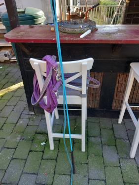 Longeerlijn, zweep en kaptoom