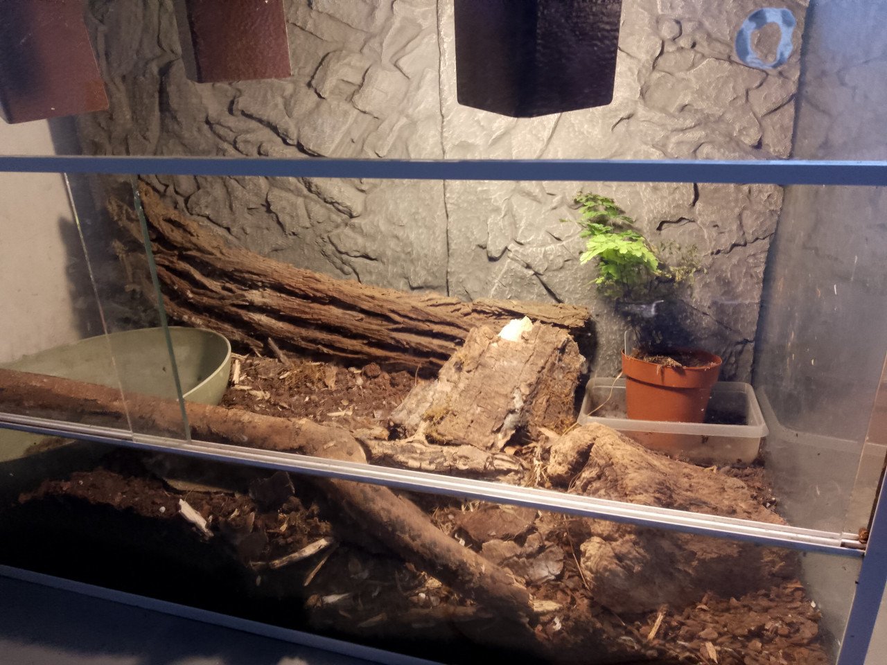 Terrarium