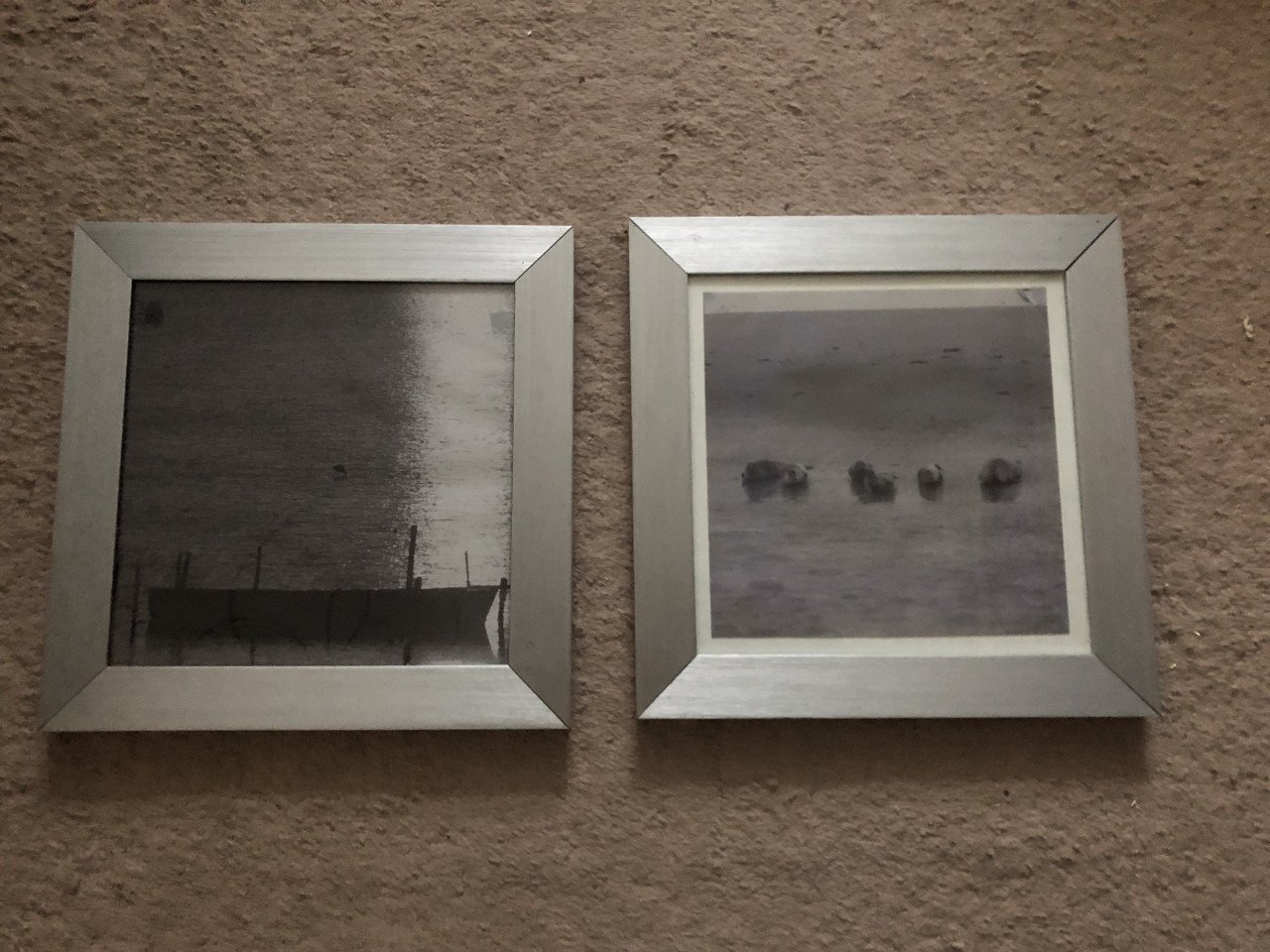 15 fotolijsten met geborstelde zilverkleurige rand