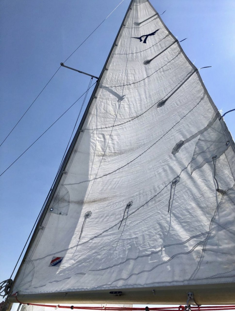 Kajuit zeilboot. Kievit 680 met zeilen inruil motor mogelijk