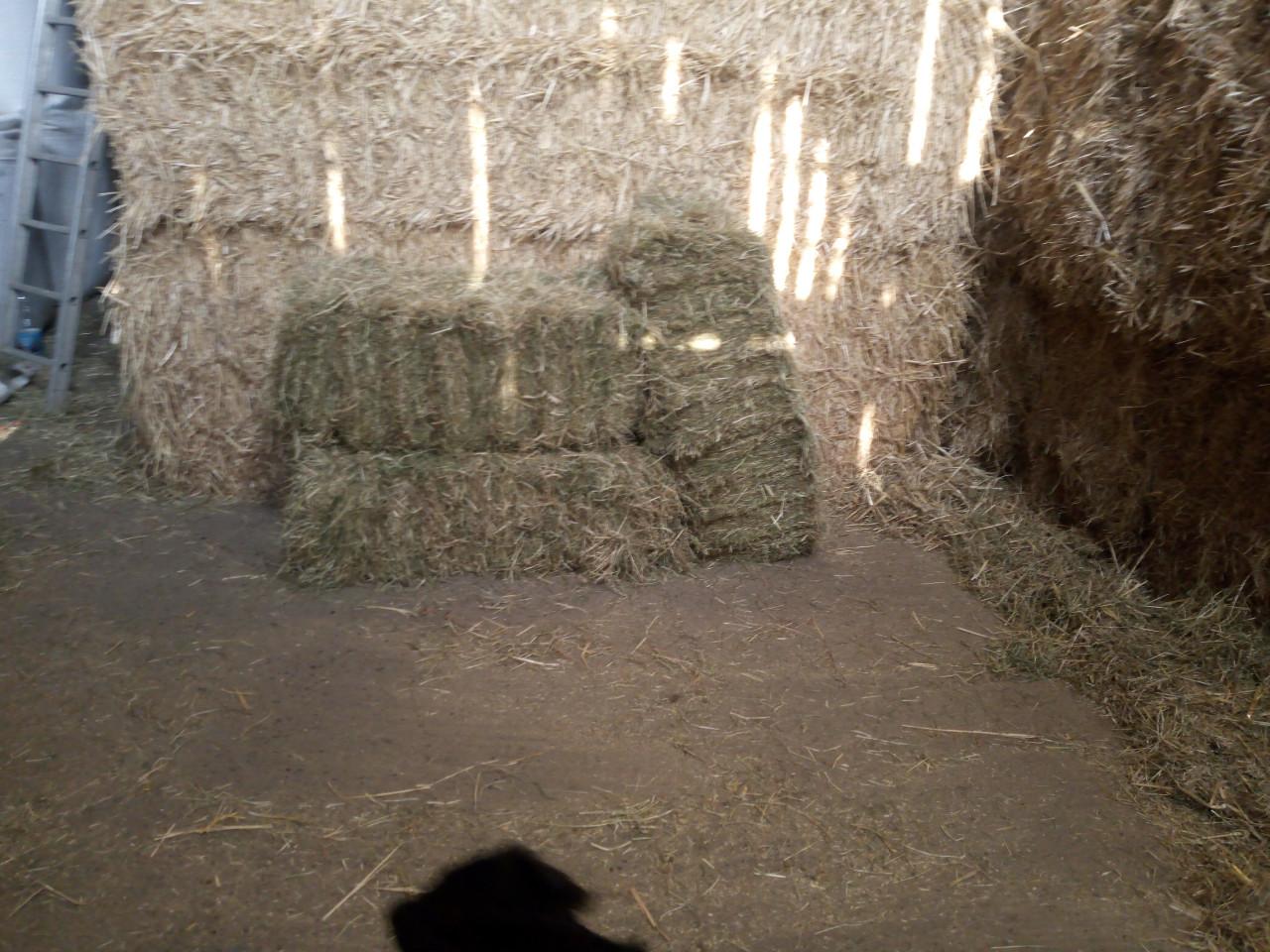 Weidehooi graszaadhooi stro kleine baaltjes