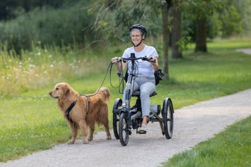 Van Raam Easy Rider Compact uit voorraad leverbaar!