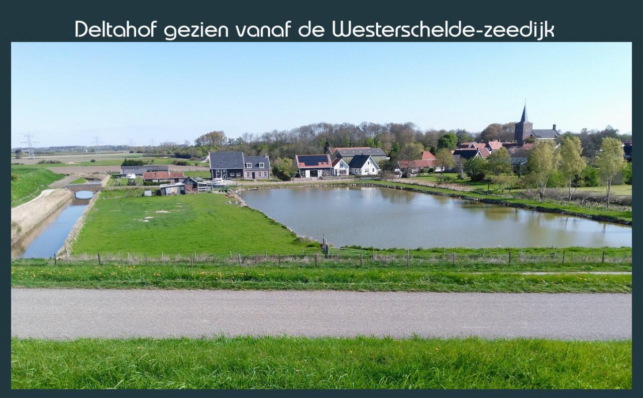 Vakantiewoning Deltahof Ellewoutsdijk Zuid-Beveland